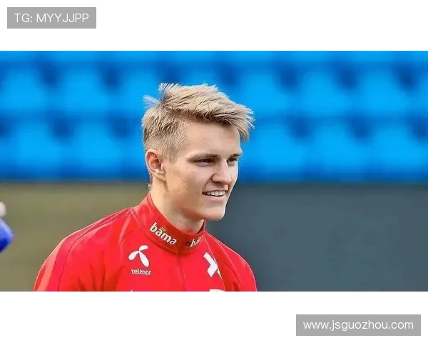 厄德高评价两极分化：技术风格与战术适配性解析